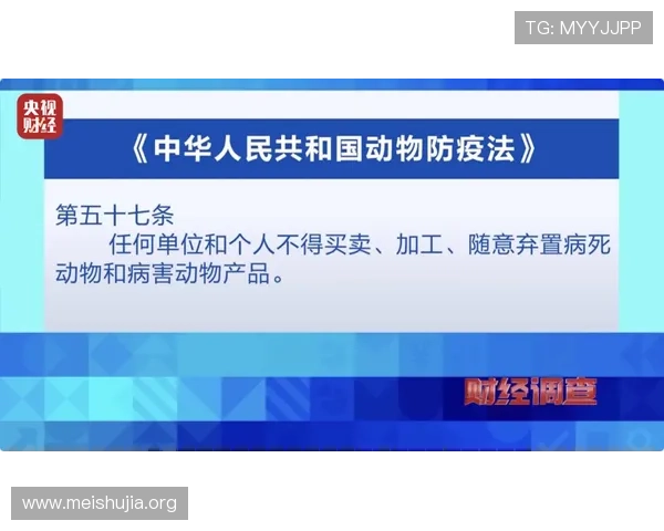 吉祥新闻直播间每日更新国内外重大新闻事件全景呈现满足用户多样化需求