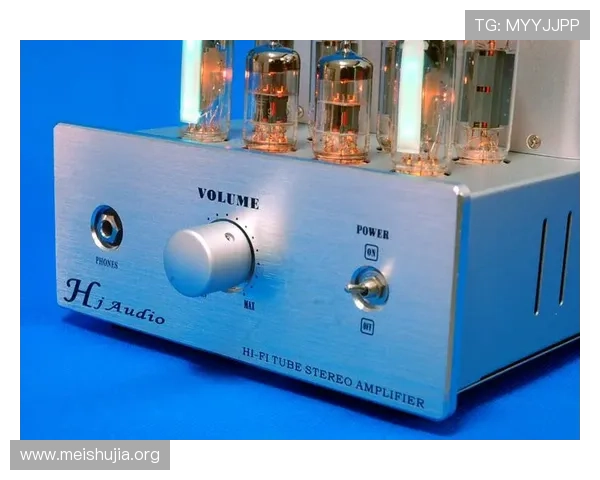 全面解析PP电子平台安全保障措施确保玩家资金与信息安全的实用指南